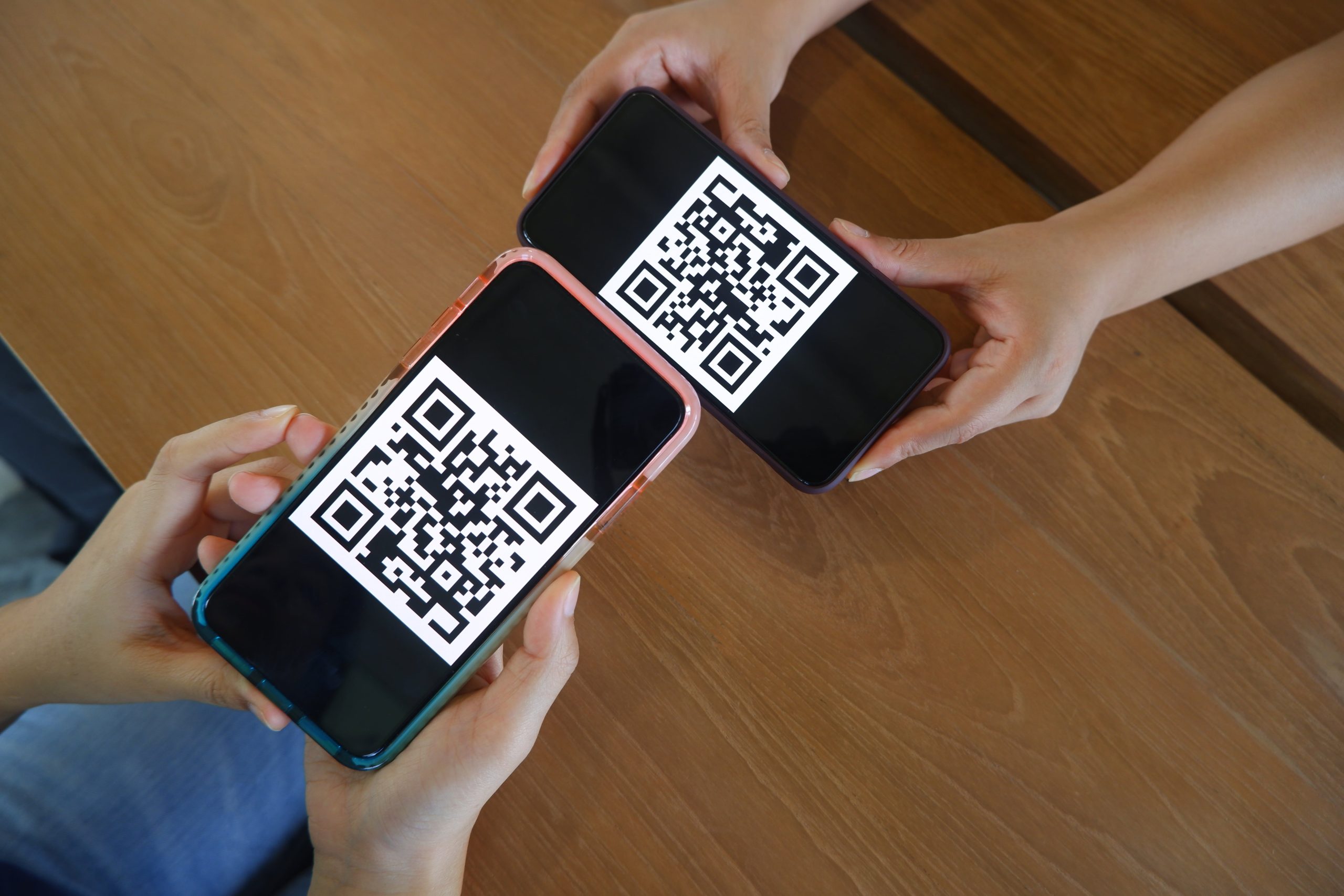 qr software1 scaled